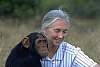 Jane Goodall's very first experience as a scientist