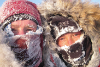 Into the Cold by Sebastian Copeland