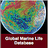 Ocean Observations Biodiversity by Census of Marine Life