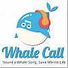 Whale Call Project by Joey Perez